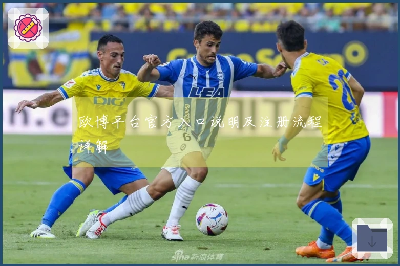 欧博平台官方入口说明及注册流程详解